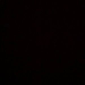 Meet your Posher, Tanner